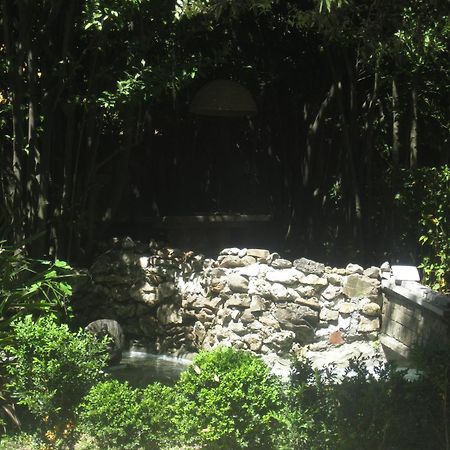 Villa Patrizia B&B Lucca Exterior photo