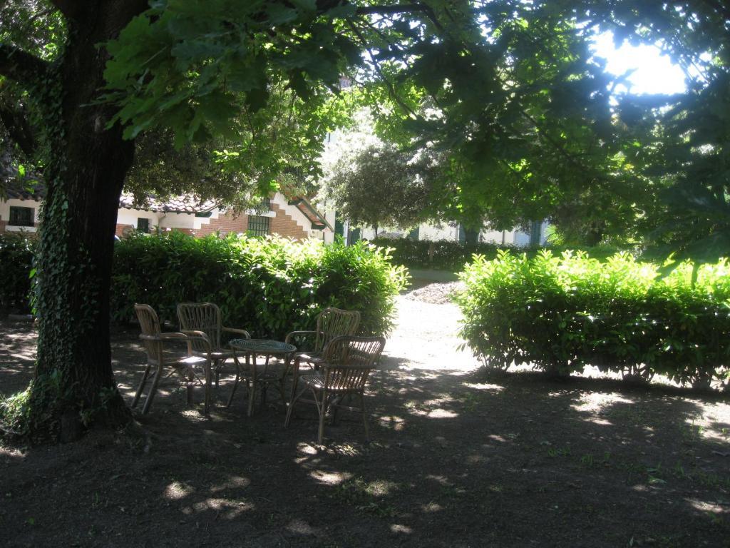 Villa Patrizia B&B Lucca Exterior photo